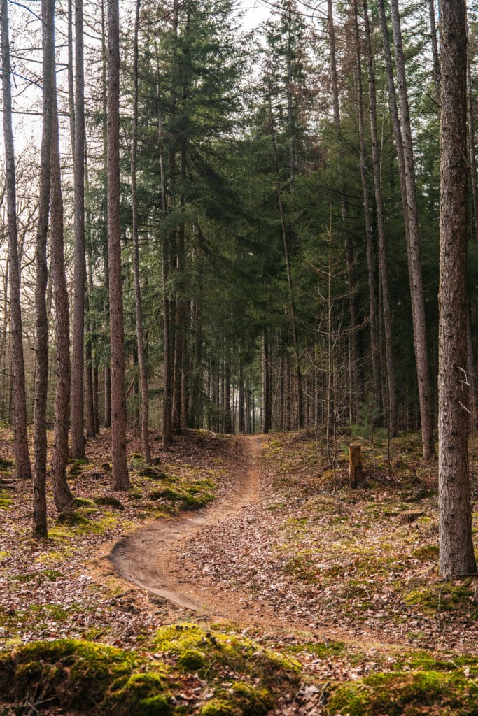 mountainbike route gasselterveld 't nije hemelriek