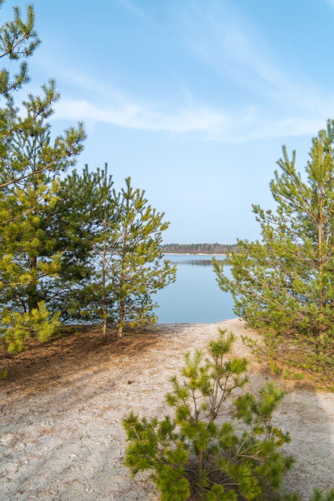 t Nije Hemelriek meer met helder water en bos