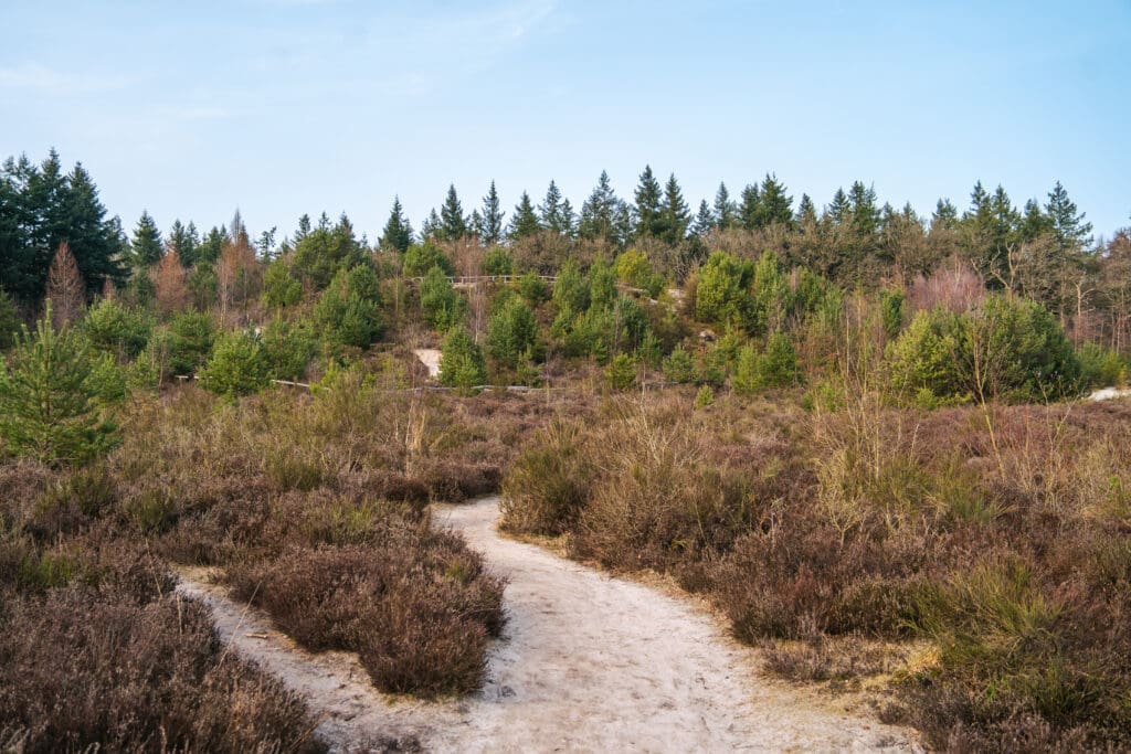 uitzichtpunt wandelen t Nije Hemelriek bij Gasselte