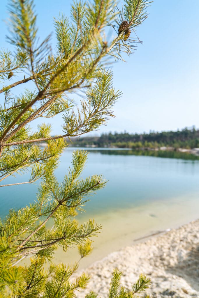 blauw meer met wit zand bij Gasselterveld