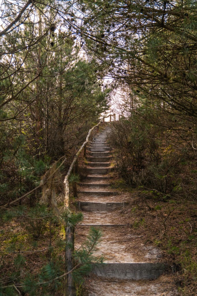 wandelroute van 4,5 km bij t Nije Hemelriek