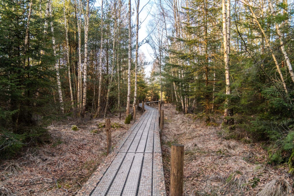 houten vlonderpad in het Dwingelderveld bij Spier