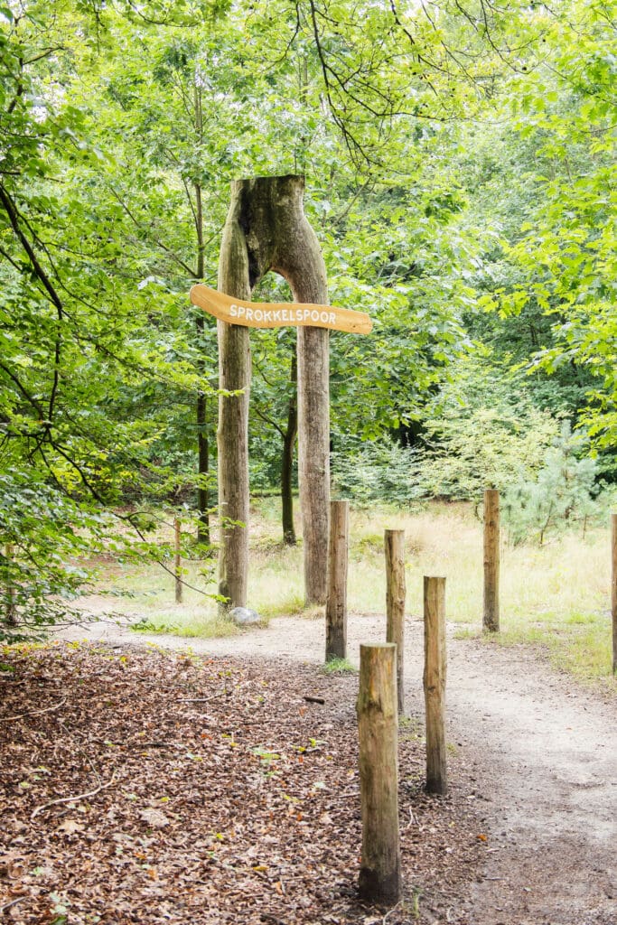 wandelen over vlonderpad op het Sprokkelspoor in Drenthe
