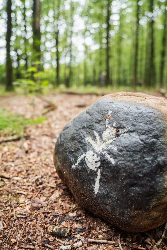 sprokkelspoor route gemarkeerd met mieren in Drenthe