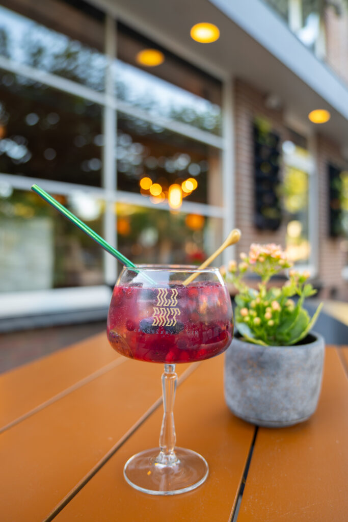 terras van hotel de stobbe in ruinen