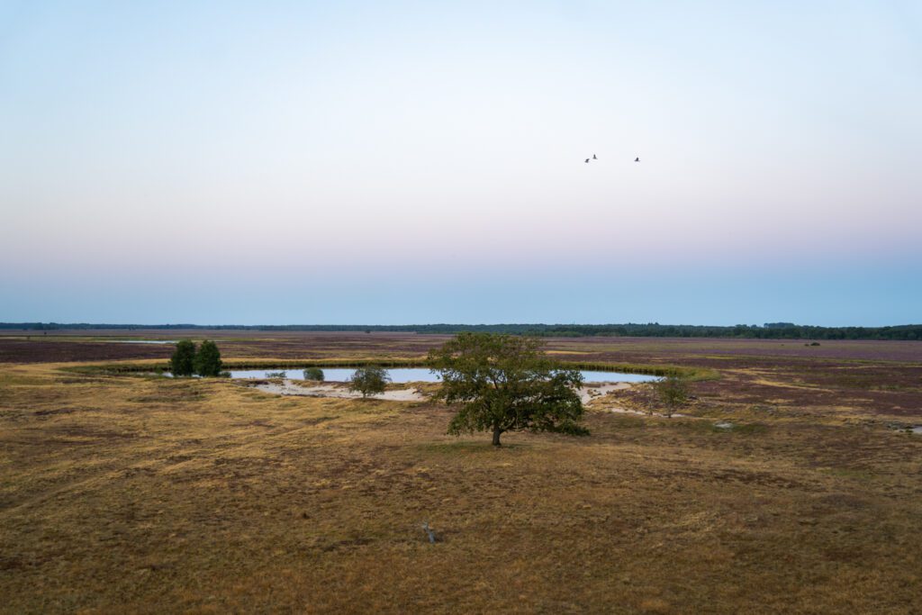 uitzicht op dwingelderveld