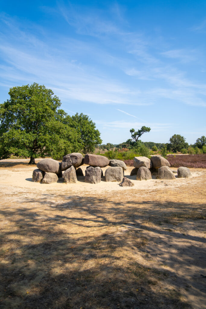 hunebedden bij het holtingerveld