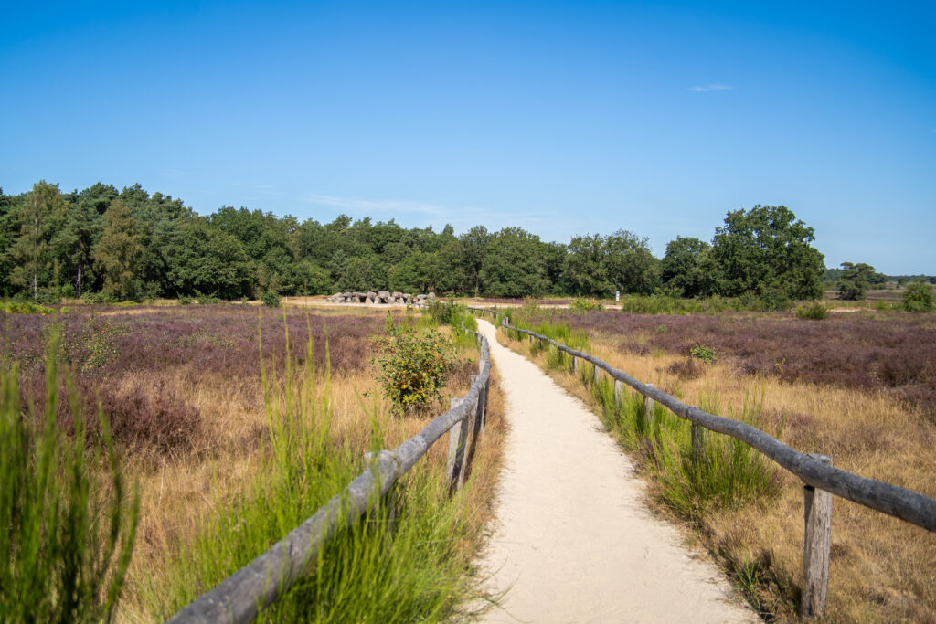 wandelen bij het holtingerveld 