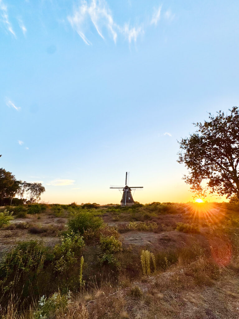 Molen de zaandplatte in ruinen